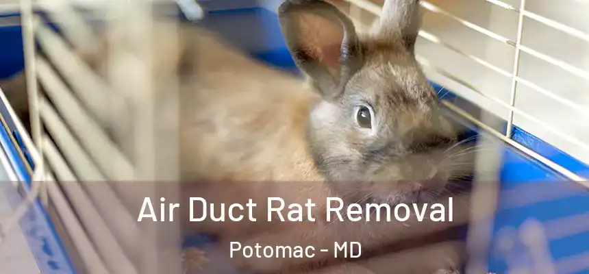 Air Duct Rat Removal Potomac - MD