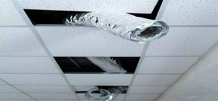 Affordable HVAC Sanitizing After Pest Removal in Potomac