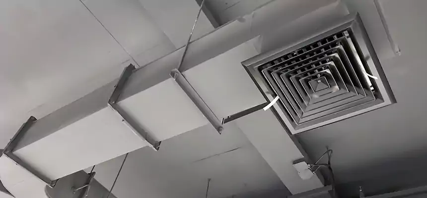 Restorative Allergy Relief Vent Cleaning – Coil, Blower & Housing Detail in Potomac