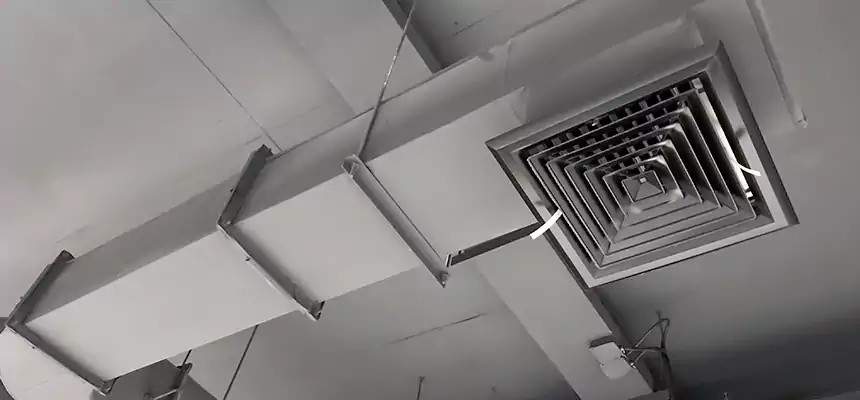 Our Pest Removal From Ducts Services in Potomac, MD