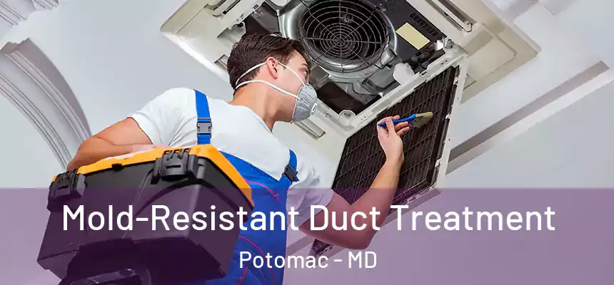  Mold-Resistant Duct Treatment Potomac - MD