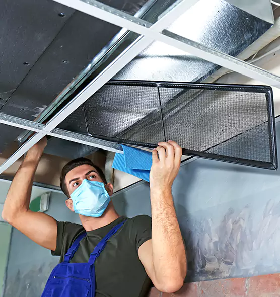 About Air Duct Bacteria Removal in Potomac