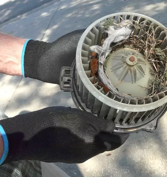 About Air Duct Mice Removal in Potomac, MD