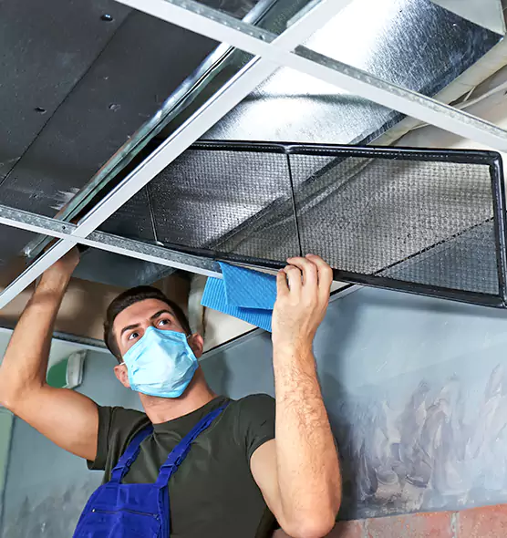 Professional Air Duct Pollen Cleaning in Potomac, MD