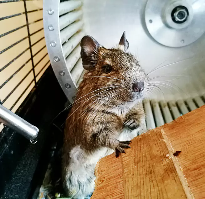 Why Homeowners & Businesses Trust Us Potomac, MD