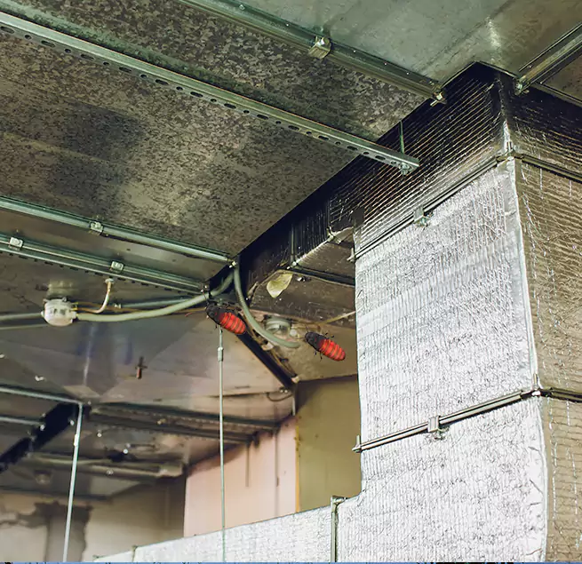 Why Homeowners & Businesses Trust Us Potomac, MD?