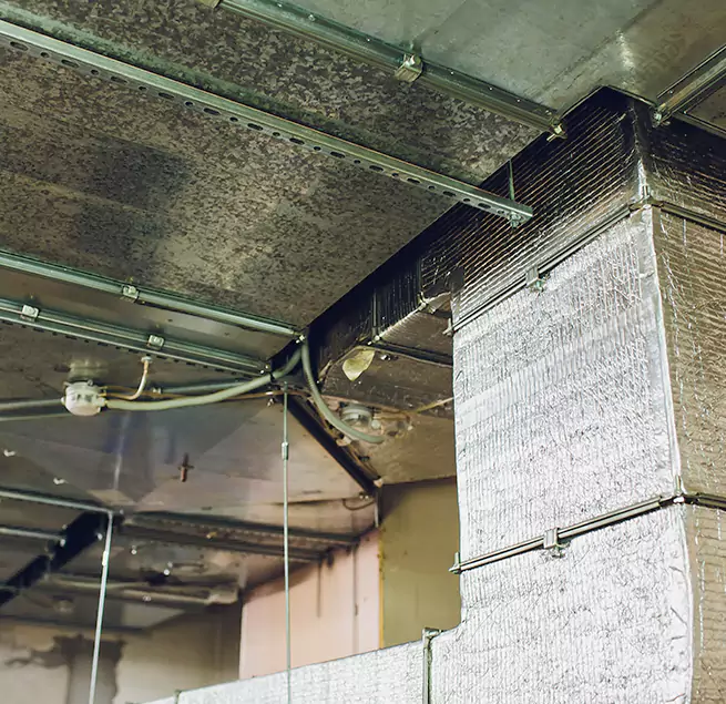 Why Homeowners & Businesses Trust Us in Potomac, MD?